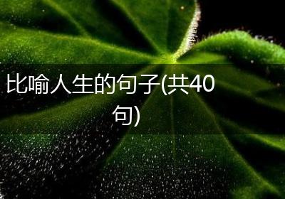 比喻人生的句子(共40句)