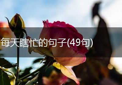 每天瞎忙的句子(49句)