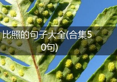 比照的句子大全(合集50句)