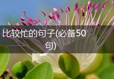 比较忙的句子(必备50句)