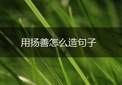用扬善怎么造句子