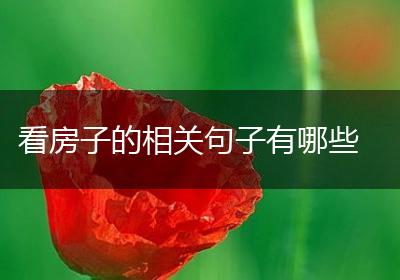 看房子的相关句子有哪些