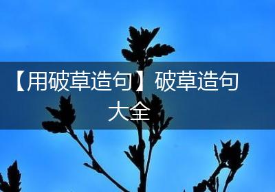 【用破草造句】破草造句大全
