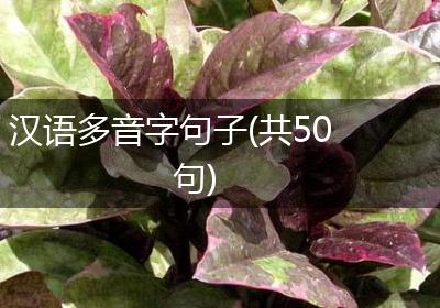汉语多音字句子(共50句)
