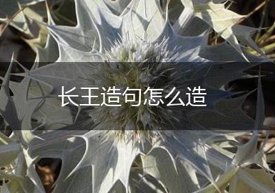 长王造句怎么造
