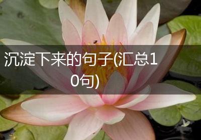 沉淀下来的句子(汇总10句)