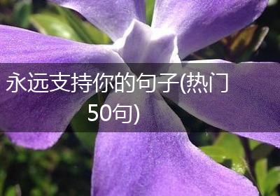 永远支持你的句子(热门50句)