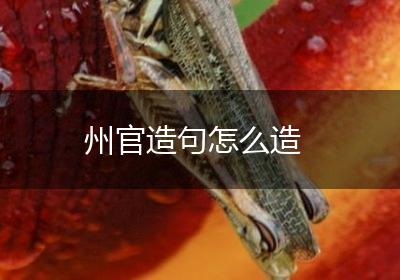 州官造句怎么造