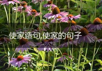 使家造句,使家的句子
