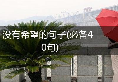 没有希望的句子(必备40句)