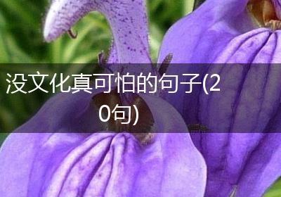 没文化真可怕的句子(20句)