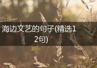 海边文艺的句子(精选12句)