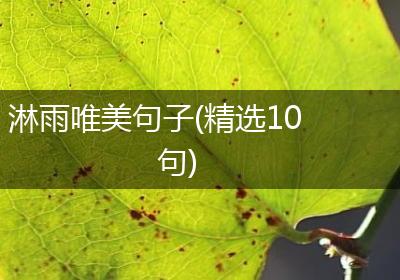 淋雨唯美句子(精选10句)