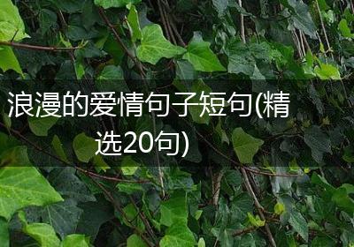 浪漫的爱情句子短句(精选20句)