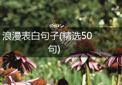 浪漫表白句子(精选50句)