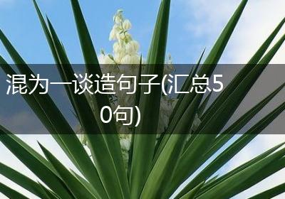 混为一谈造句子(汇总50句)