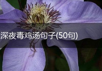 深夜毒鸡汤句子(50句)
