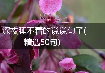 深夜睡不着的说说句子(精选50句)