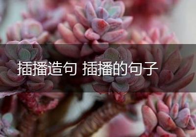 插播造句 插播的句子