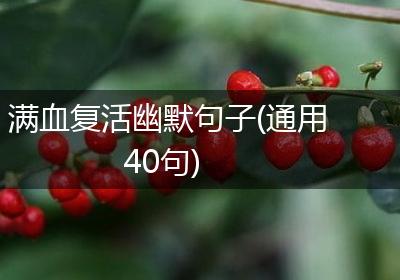 满血复活幽默句子(通用40句)