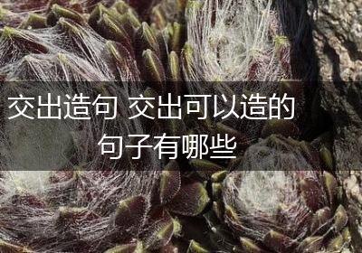 交出造句 交出可以造的句子有哪些