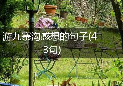 游九寨沟感想的句子(43句)