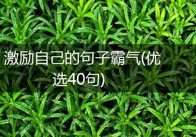 激励自己的句子霸气(优选40句)