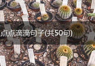点点滴滴句子(共50句)