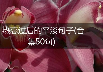 热恋过后的平淡句子(合集50句)