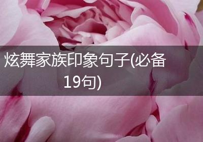 炫舞家族印象句子(必备19句)