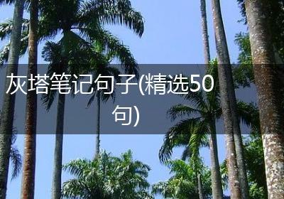 灰塔笔记句子(精选50句)
