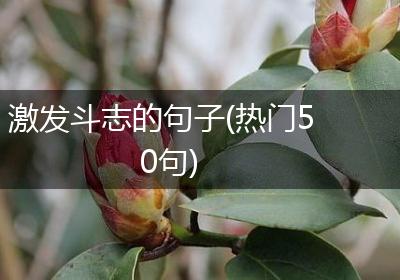 激发斗志的句子(热门50句)