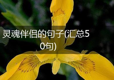 灵魂伴侣的句子(汇总50句)
