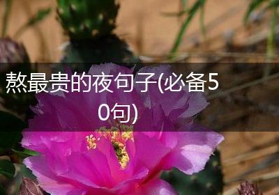 熬最贵的夜句子(必备50句)