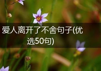 爱人离开了不舍句子(优选50句)