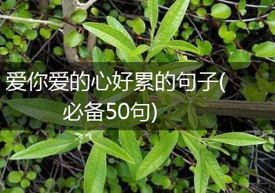 爱你爱的心好累的句子(必备50句)