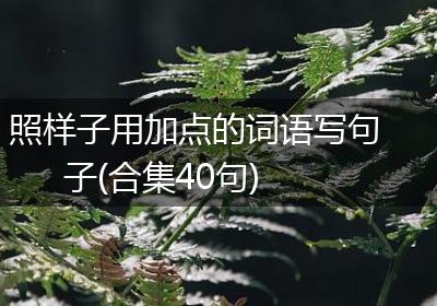 照样子用加点的词语写句子(合集40句)