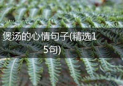 煲汤的心情句子(精选15句)