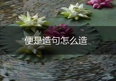 便是造句怎么造