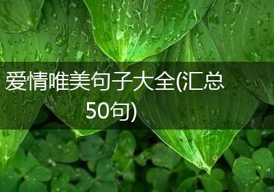 爱情唯美句子大全(汇总50句)