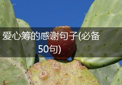 爱心筹的感谢句子(必备50句)