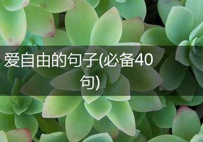 爱自由的句子(必备40句)