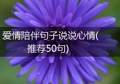 爱情陪伴句子说说心情(推荐50句)