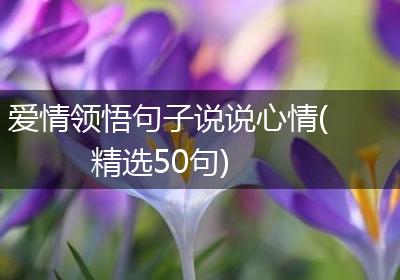 爱情领悟句子说说心情(精选50句)