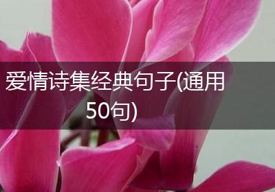 爱情诗集经典句子(通用50句)