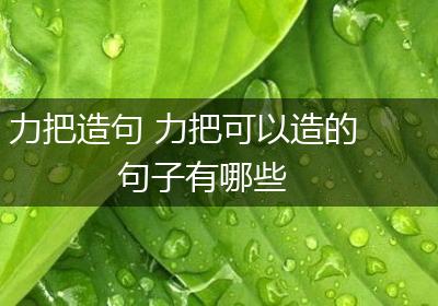 力把造句 力把可以造的句子有哪些