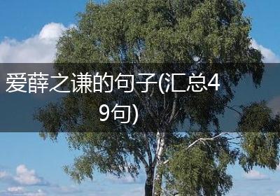 爱薛之谦的句子(汇总49句)