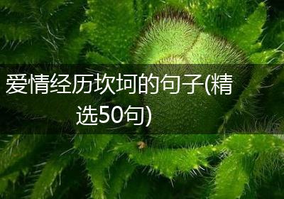 爱情经历坎坷的句子(精选50句)