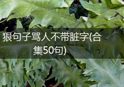 狠句子骂人不带脏字(合集50句)