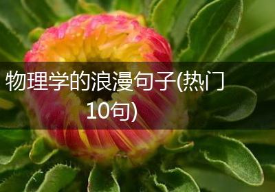 物理学的浪漫句子(热门10句)